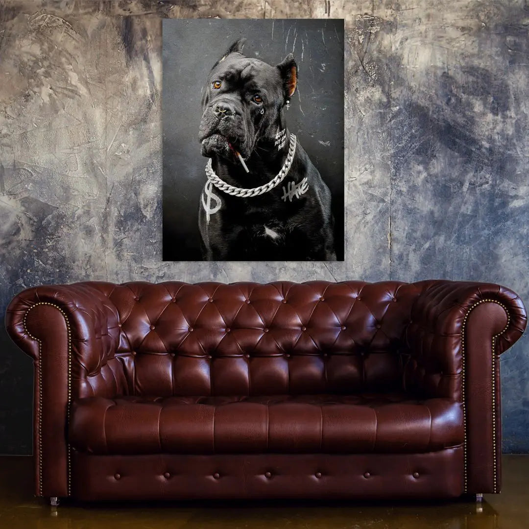 Cane Corso Bad Boy | Plakat