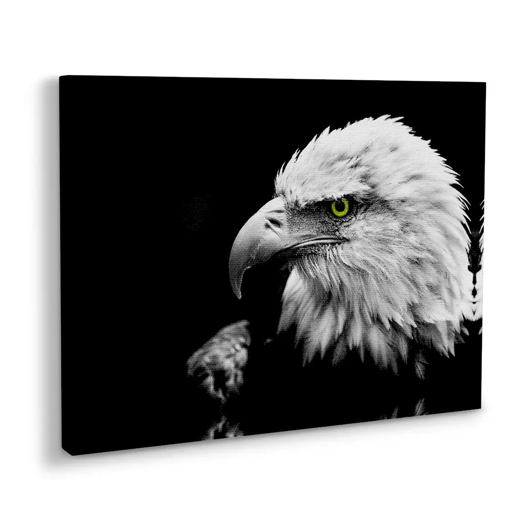 White-tailed Eagle | Painting