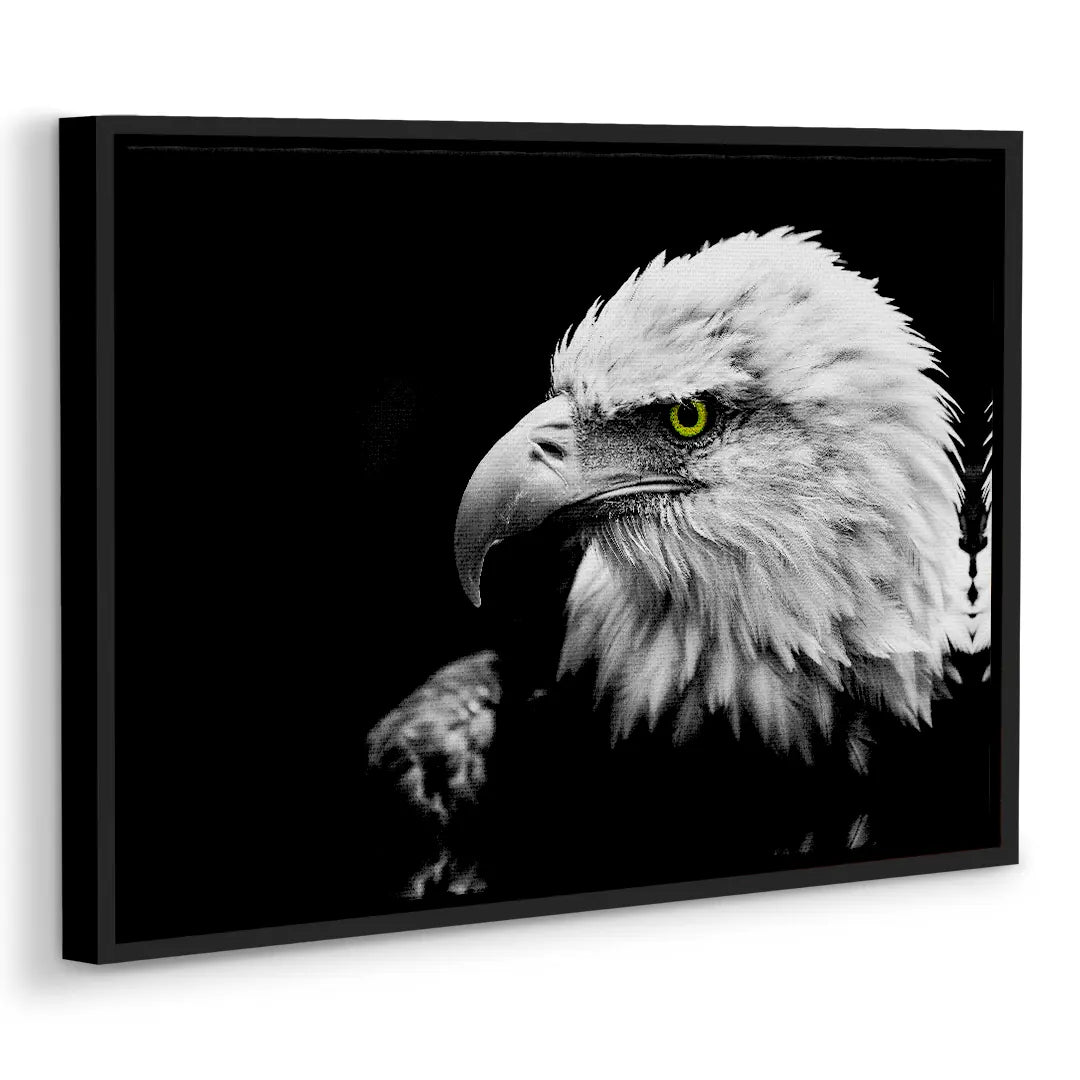 White-tailed Eagle | Painting