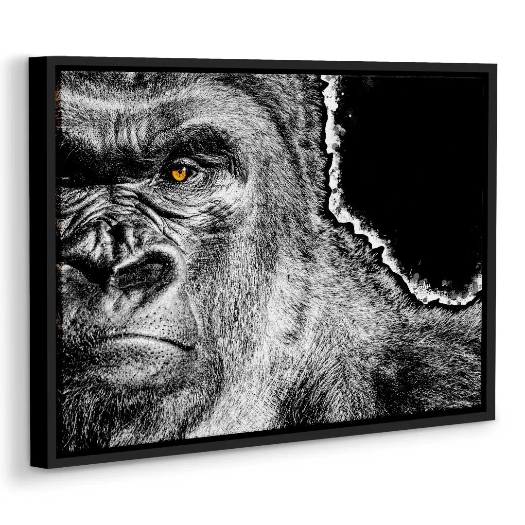 Gorilla | Picture