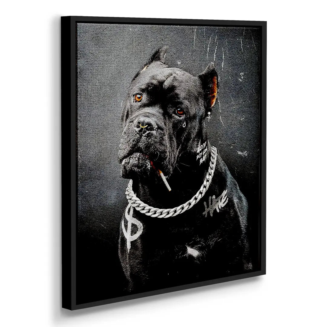 Cane Corso Bad Boy
