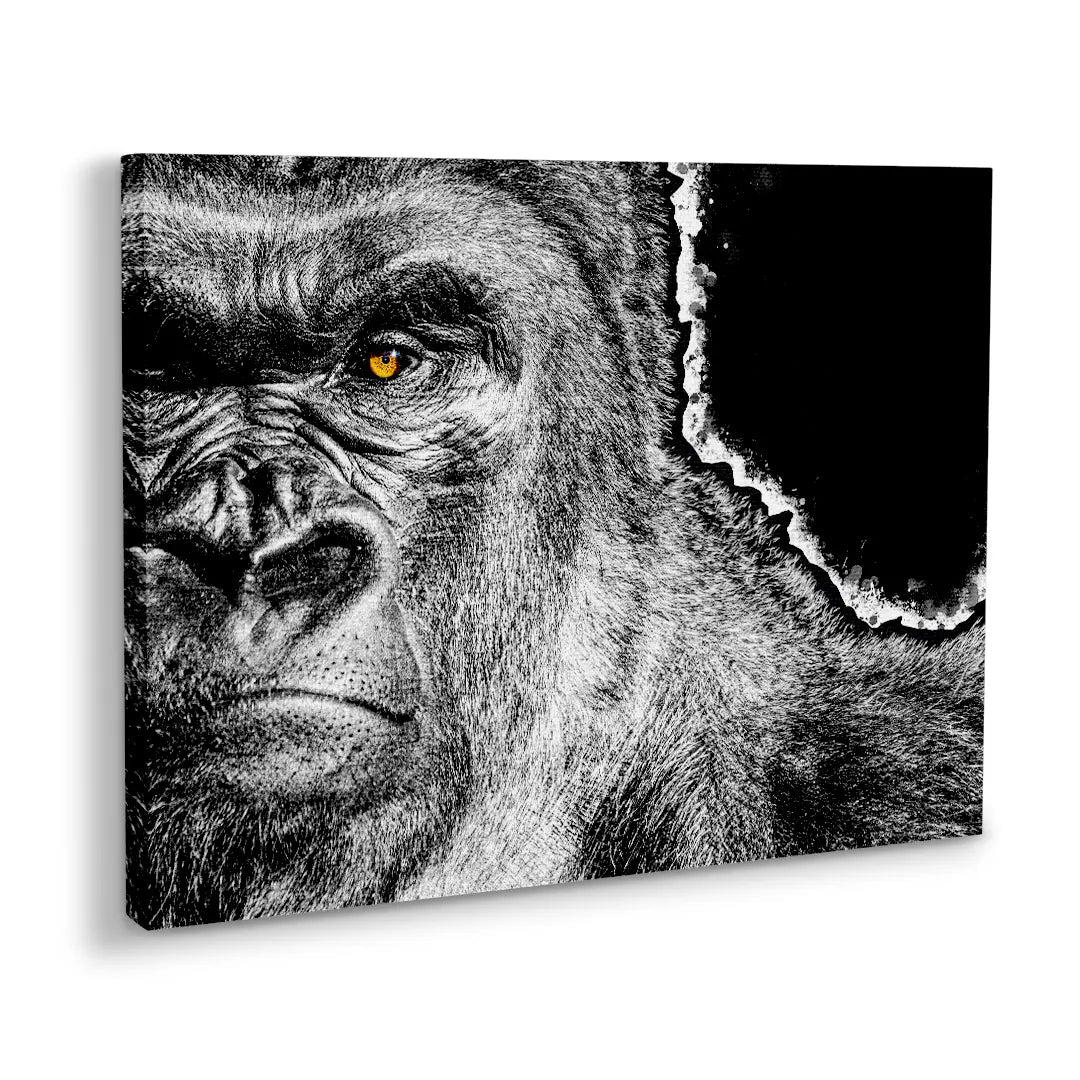 Gorilla | Picture