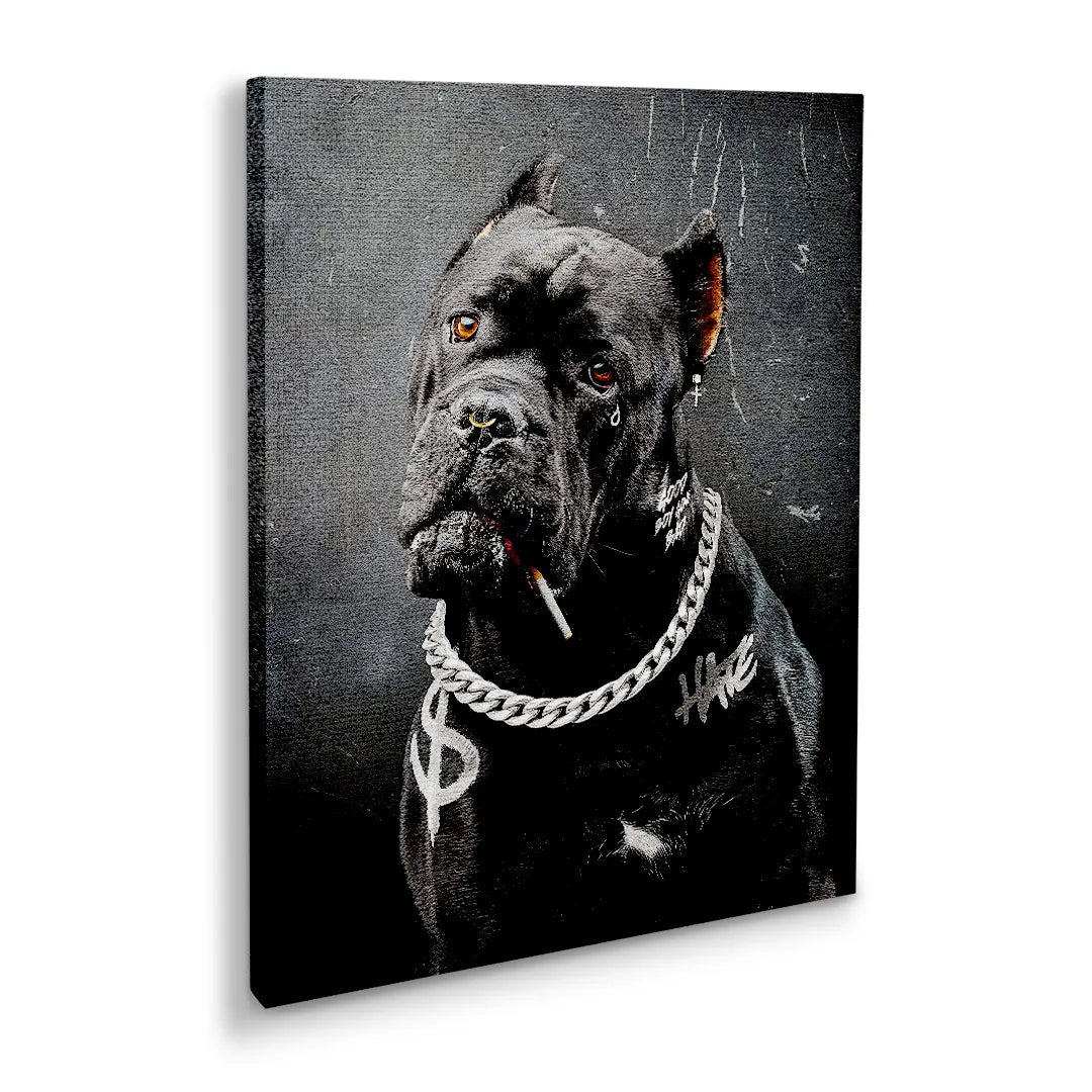 Cane Corso Bad Boy | Picture