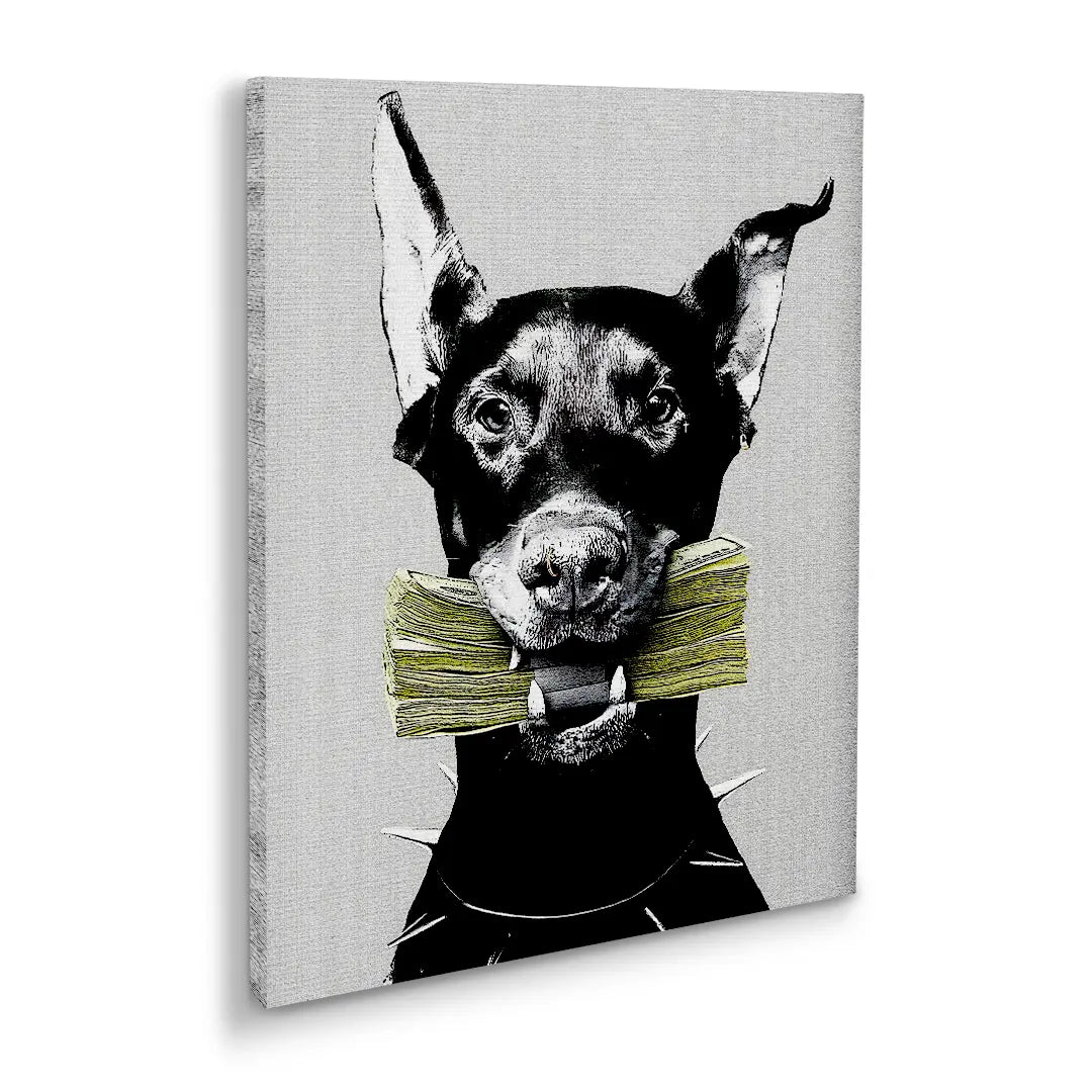 Cash Doberman