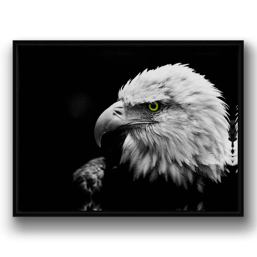 White-tailed Eagle | Painting