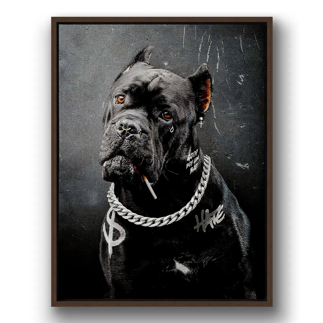 Cane Corso Bad Boy