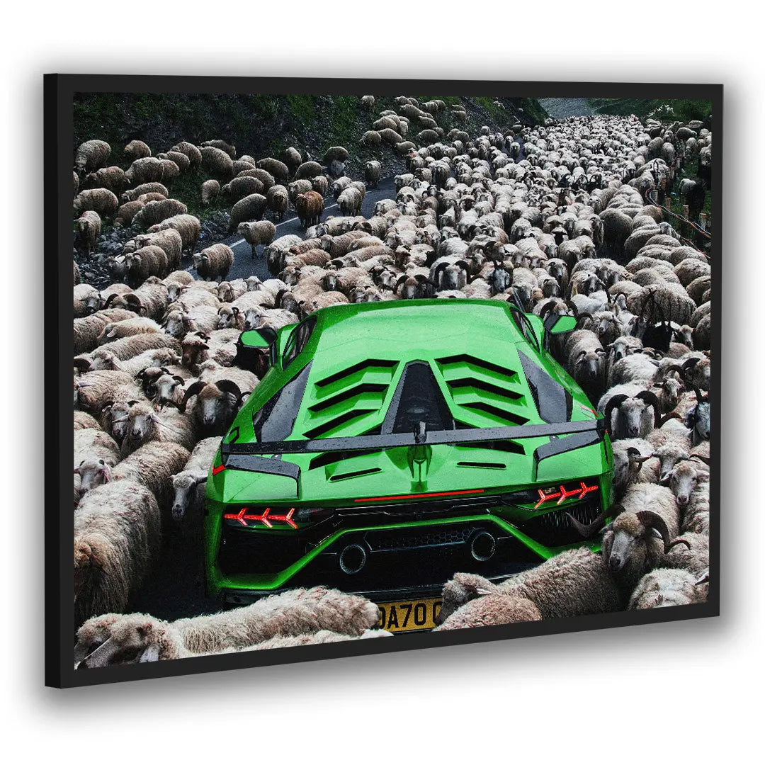 Zielone Lamborghini | Plakat