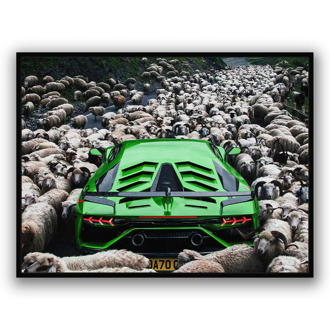 Zielone Lamborghini | Plakat