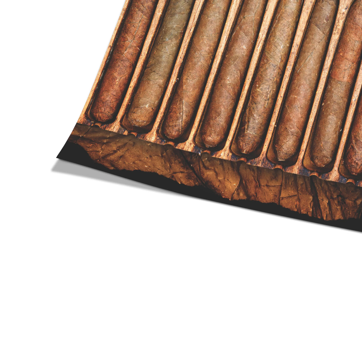 Gentlemen's Club Cigars | Plakat, zbliżenie