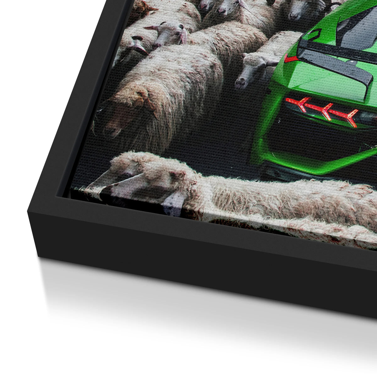 Zielone Lamborghini | Obraz
