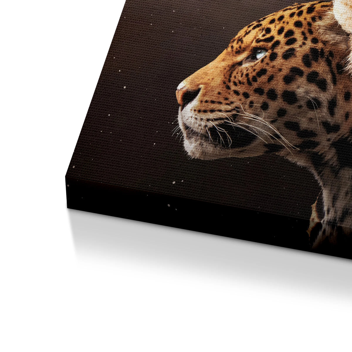 Beasts | Obraz