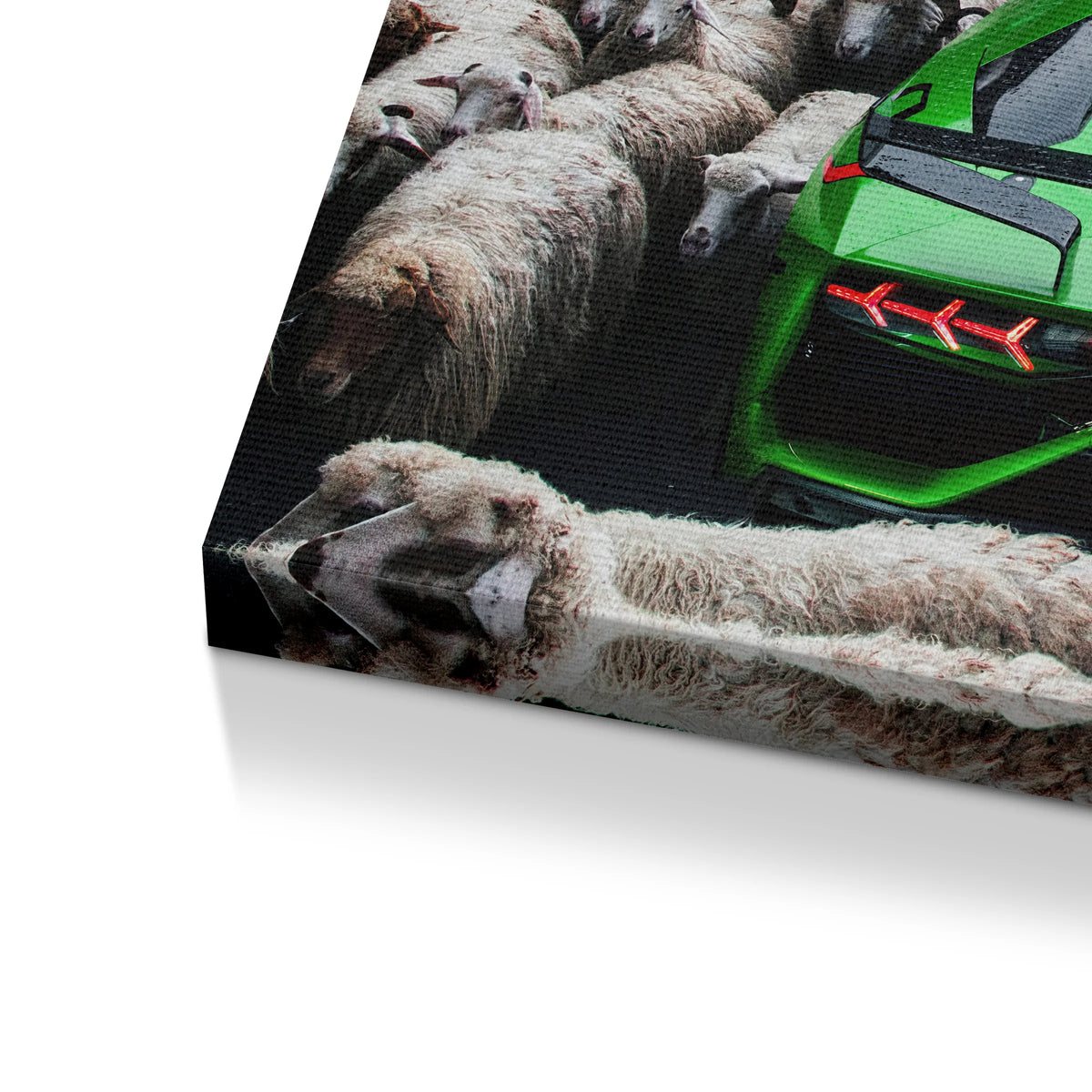 Zielone Lamborghini | Obraz
