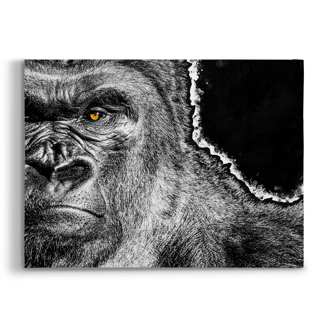 Gorilla | Picture