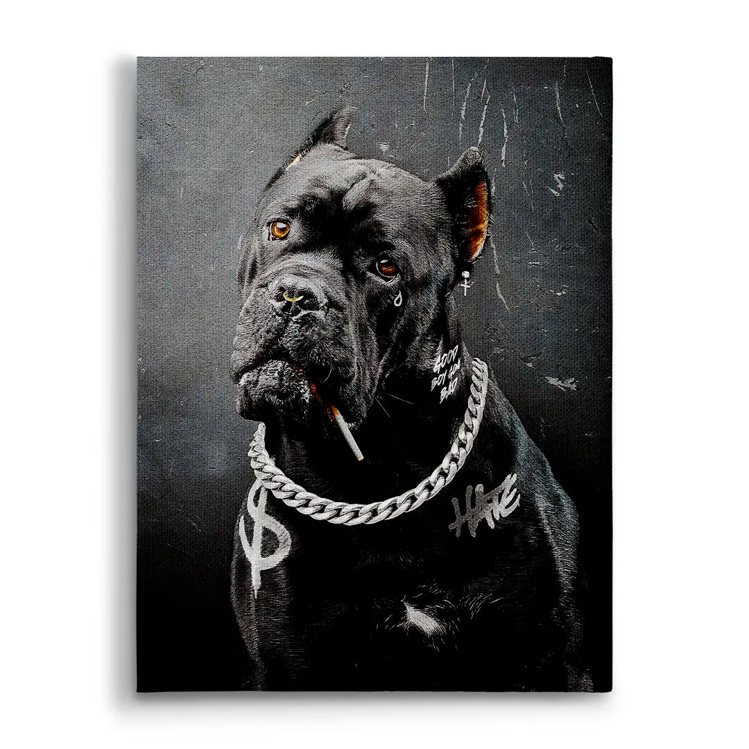 Cane Corso Bad Boy | Picture
