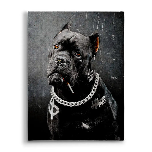Cane Corso Bad Boy