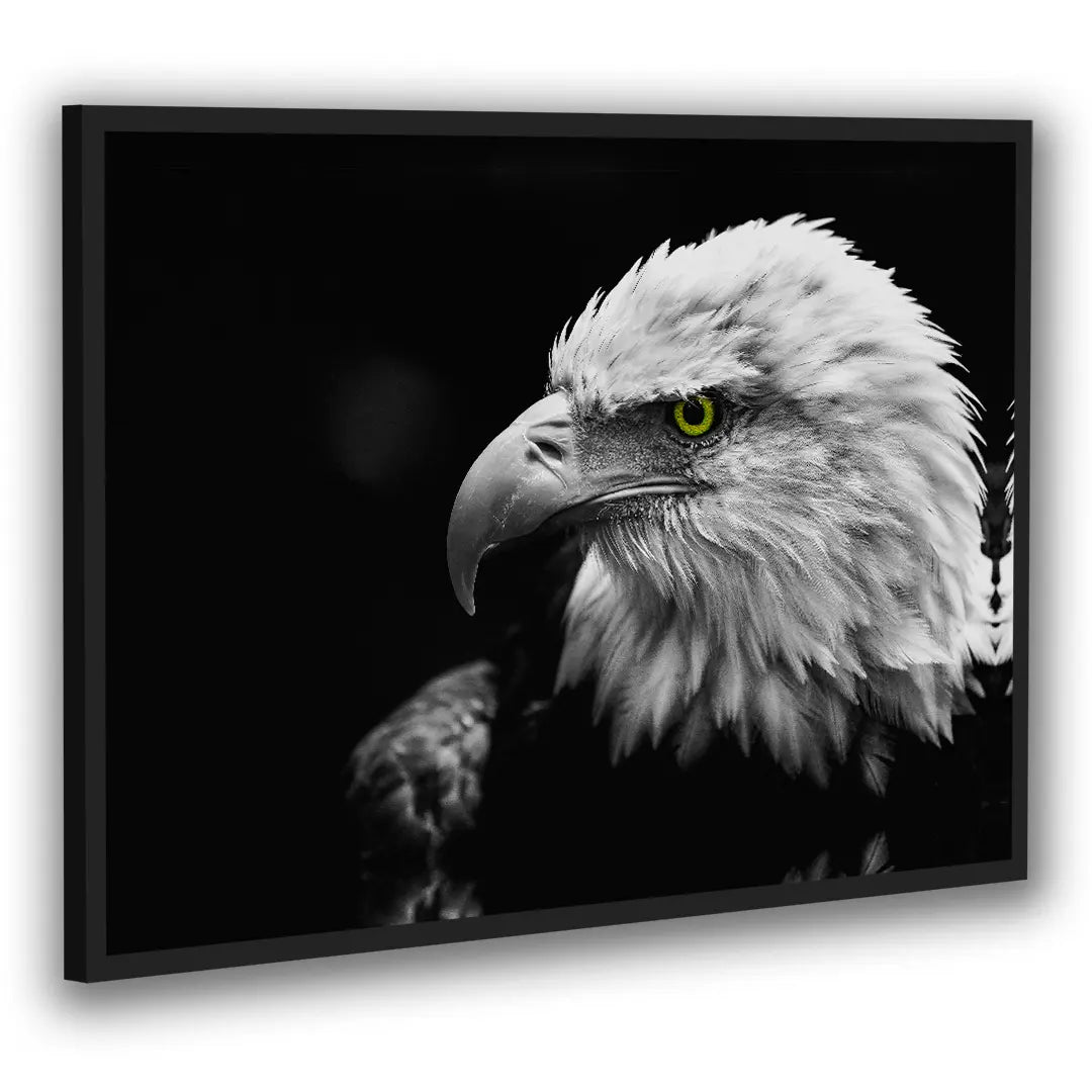 Orzeł Bielik | Plakat