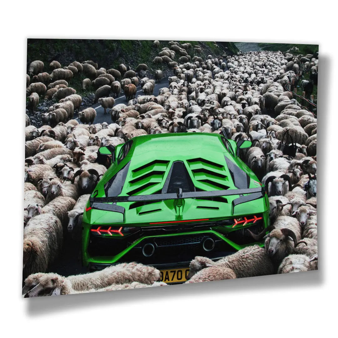 Zielone Lamborghini | Plakat