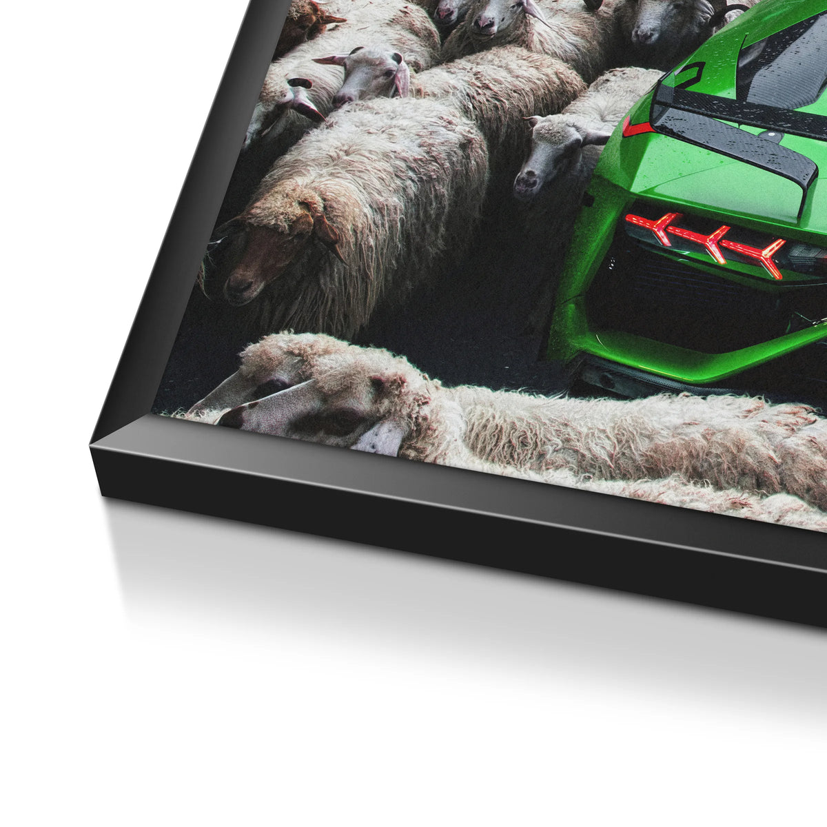 Zielone Lamborghini | Plakat