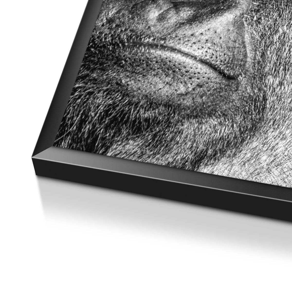 Gorilla | Plakat