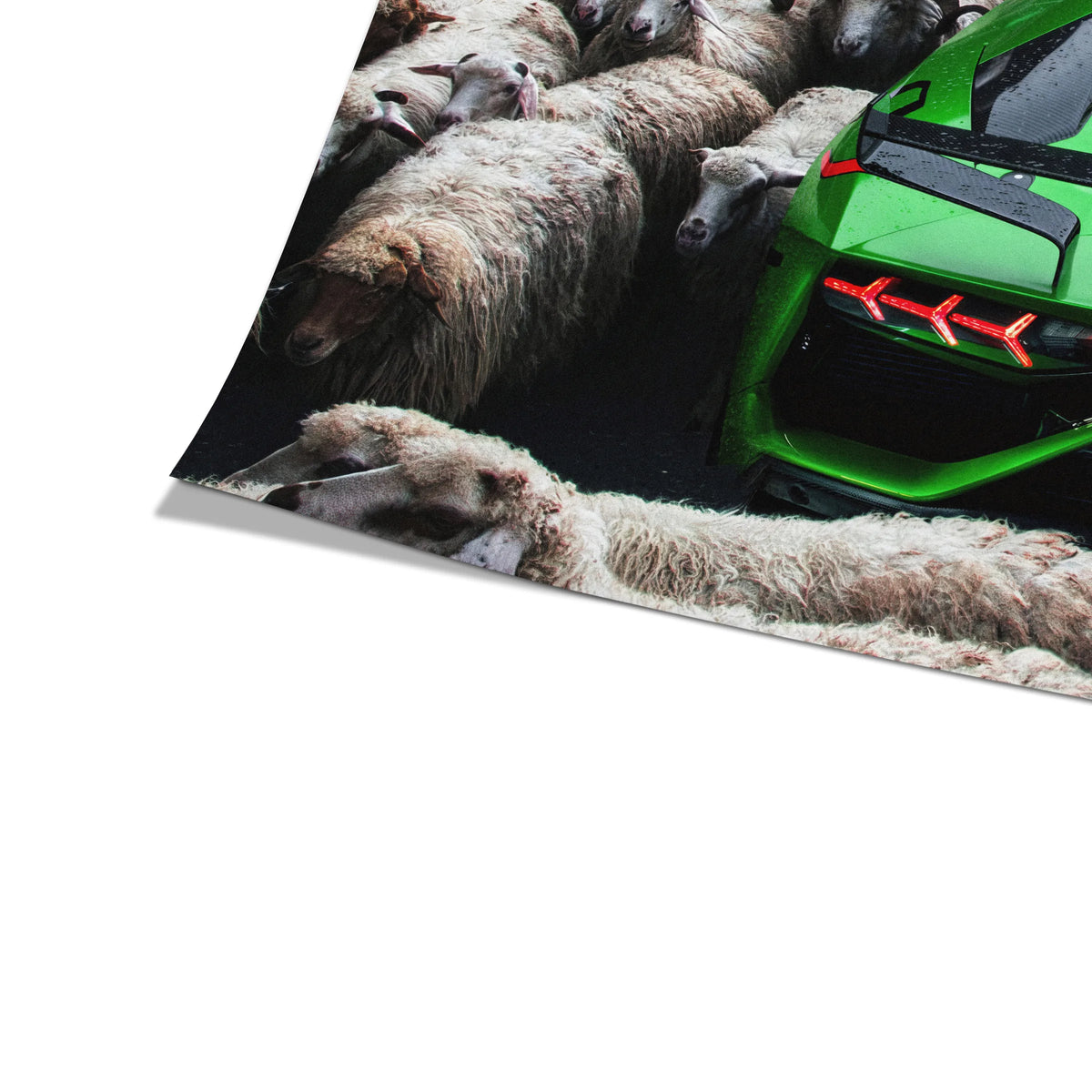 Zielone Lamborghini | Plakat